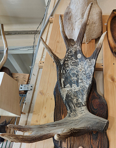 Превью Рог лося с кабаном