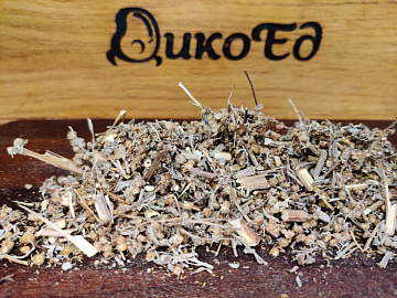 Фото Полынь сушеная