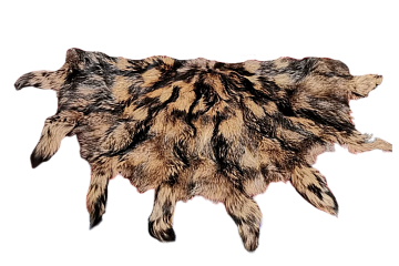 Фото Ковры из енота