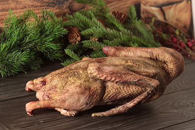 Превью Гусь (дикий) осенний 