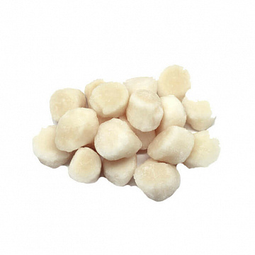 Фото Гребешок морской дикий, заморозка, филе S100+ шт/кг