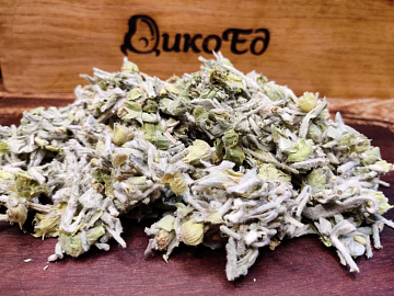 Фото Лимонник крымский сушеный