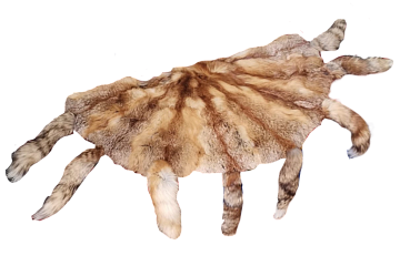 Фото Ковры из лисицы