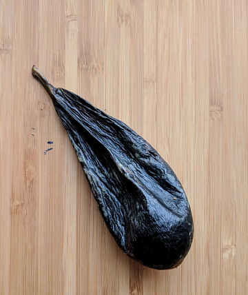 Фото Желчь медведя вяленая (10-30гр)