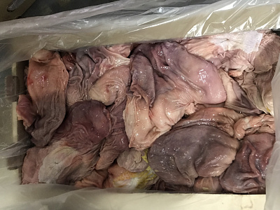 Превью Желудок дикого кабана